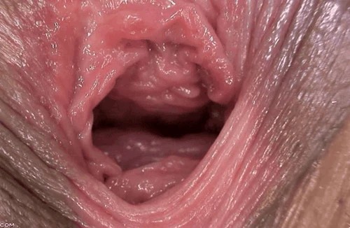 Throbbing Pussy Closeup GIF