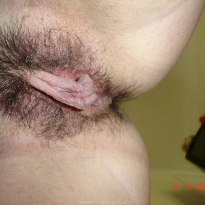Photo album: Single babe with big hairy pussy